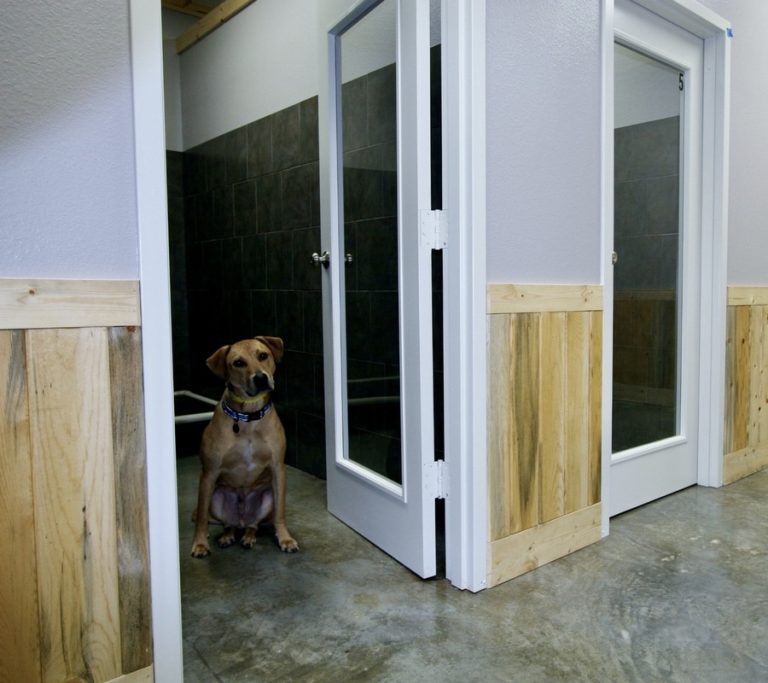 Boarding in Mt Pleasant, TX Mt. Pleasant Animal Clinic